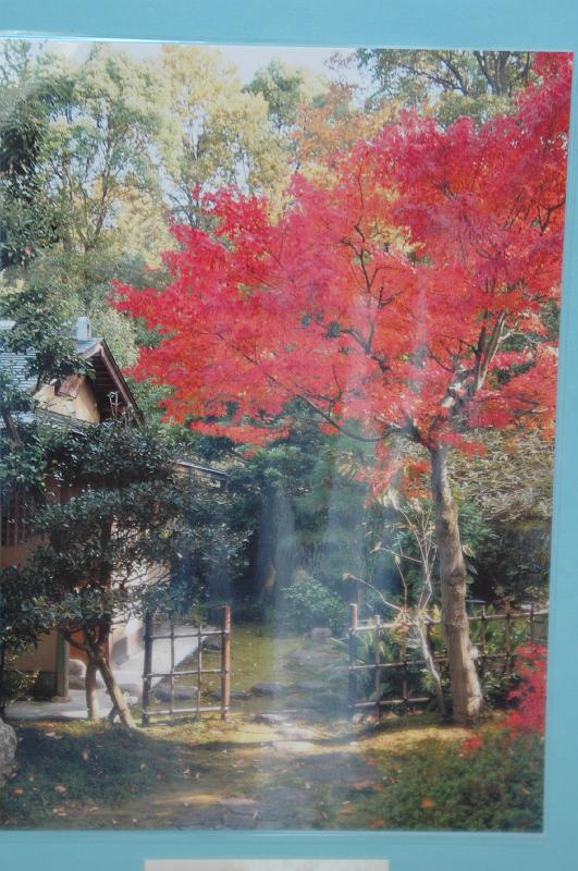 Japon-Juil-07-260