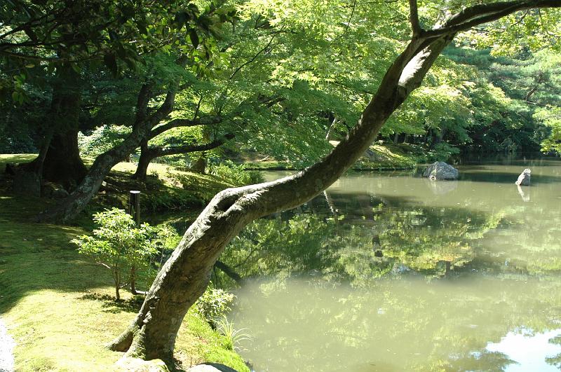 Japon-Juil-07-495