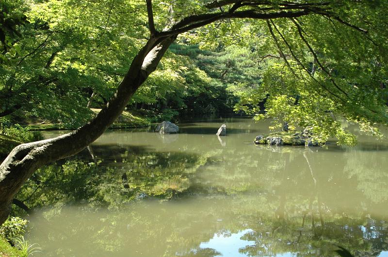 Japon-Juil-07-496