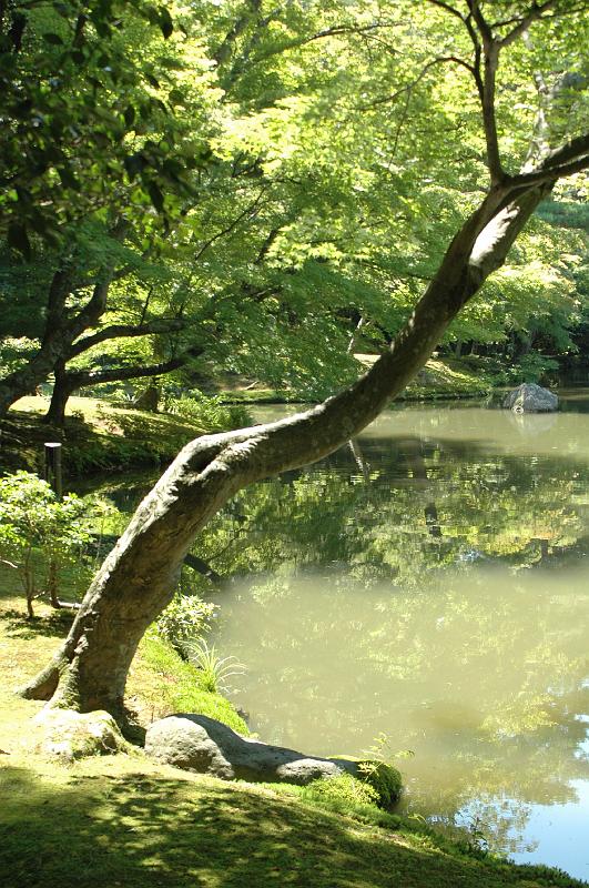 Japon-Juil-07-497