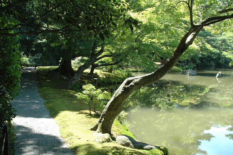 Japon-Juil-07-498
