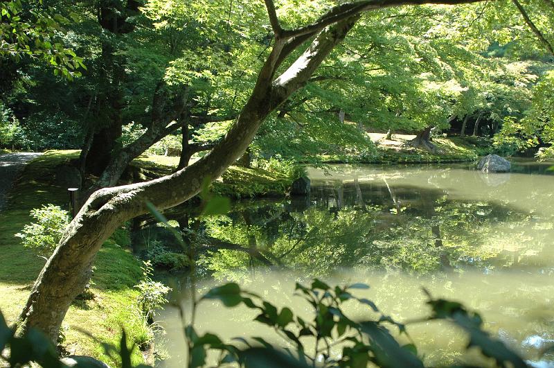 Japon-Juil-07-501