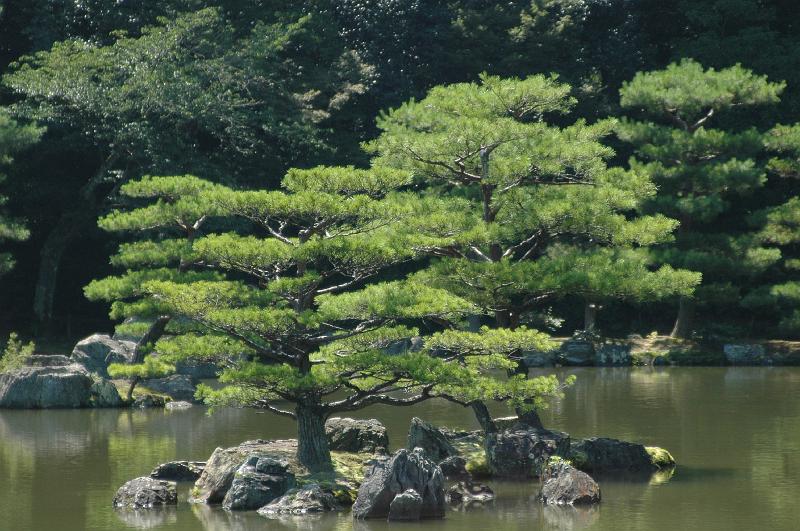 Japon-Juil-07-508