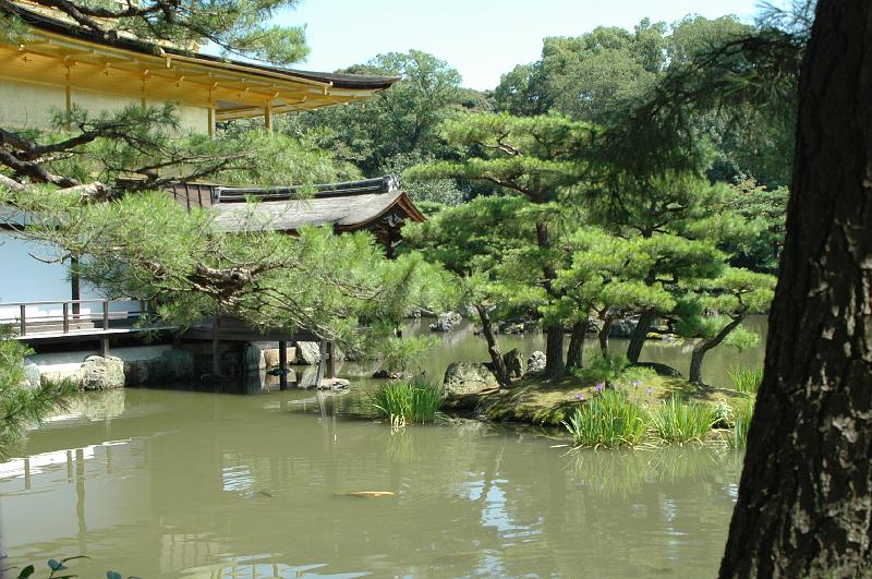 Japon-Juil-07-513