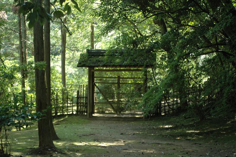 Japon-Juil-07-515