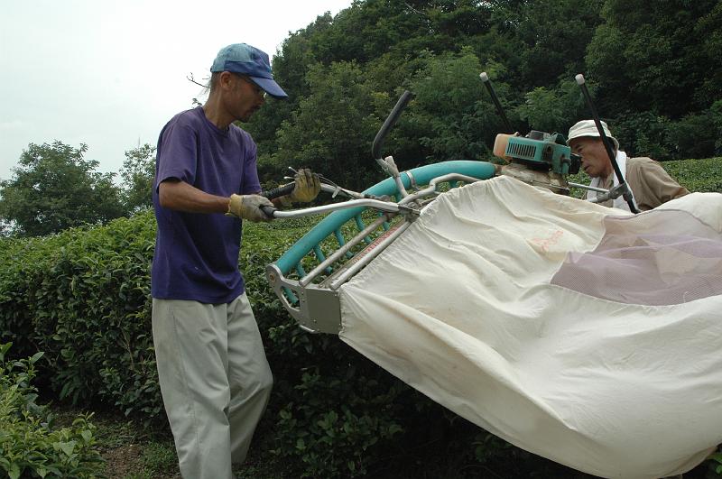 Japon-Juil-07-578