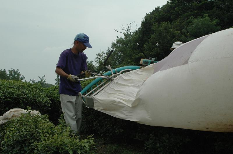 Japon-Juil-07-579