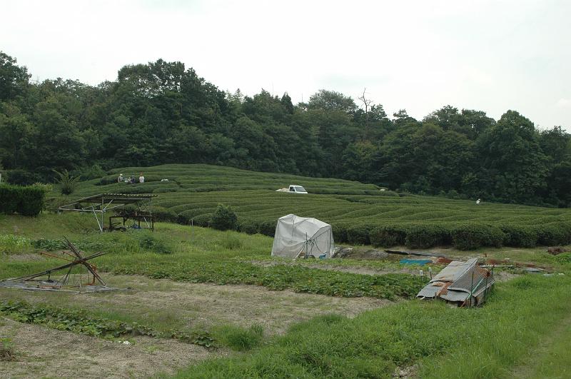 Japon-Juil-07-589