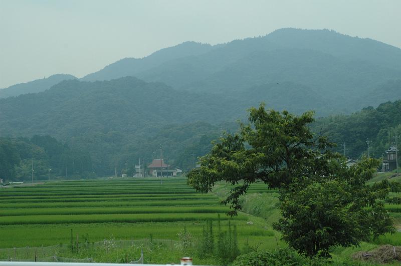 Japon-Juil-07-591