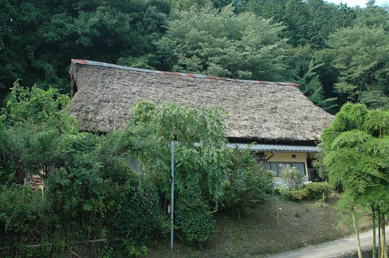 Japon-Juil-07-604