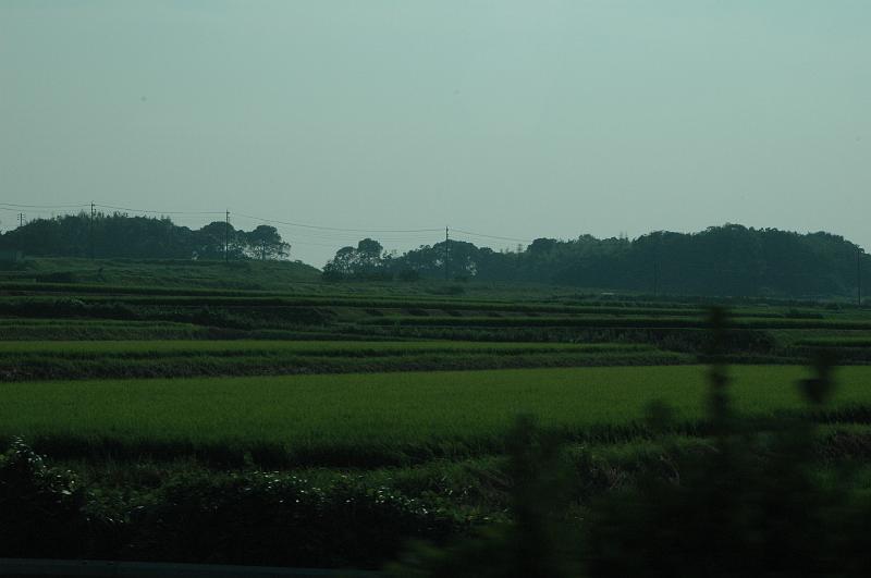 Japon-Juil-07-799