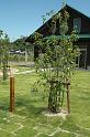 Japon-Juil-07-258