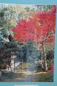 Japon-Juil-07-260