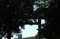 Japon-Juil-07-333