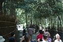 Japon-Juil-07-458