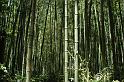Japon-Juil-07-459