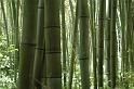 Japon-Juil-07-462