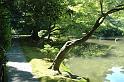 Japon-Juil-07-498