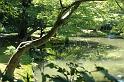 Japon-Juil-07-501