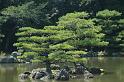 Japon-Juil-07-508