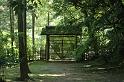 Japon-Juil-07-515