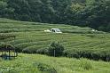 Japon-Juil-07-575