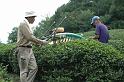 Japon-Juil-07-577