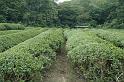 Japon-Juil-07-585