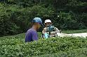 Japon-Juil-07-588