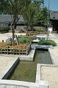 Japon-Juil-07-673